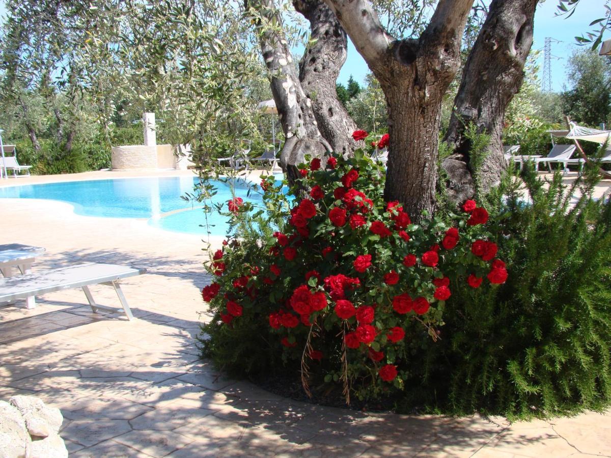 Agriturismo I Tesori Del Sud Vieste, Puglia Eksteriør billede